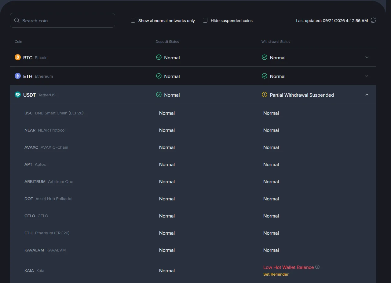 Binance se Deposit and Withdrawal Status-blad met die USDT-ry oopgemaak, elke netwerk se deposito- en onttrekkingstatus afsonderlik gelys