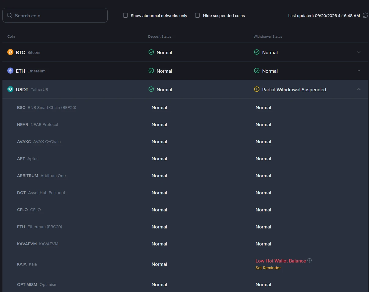 Binance Deposit and Withdrawal Status page with the USDT row expanded, showing per-network deposit and withdrawal status on 20 September 2026